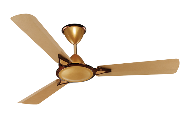 Satin Gold Fan